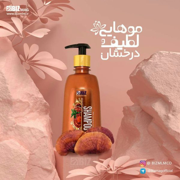 خرید آنلاین شامپو حاوی عصاره گانودرما BIZ مخصوص موهای خشک