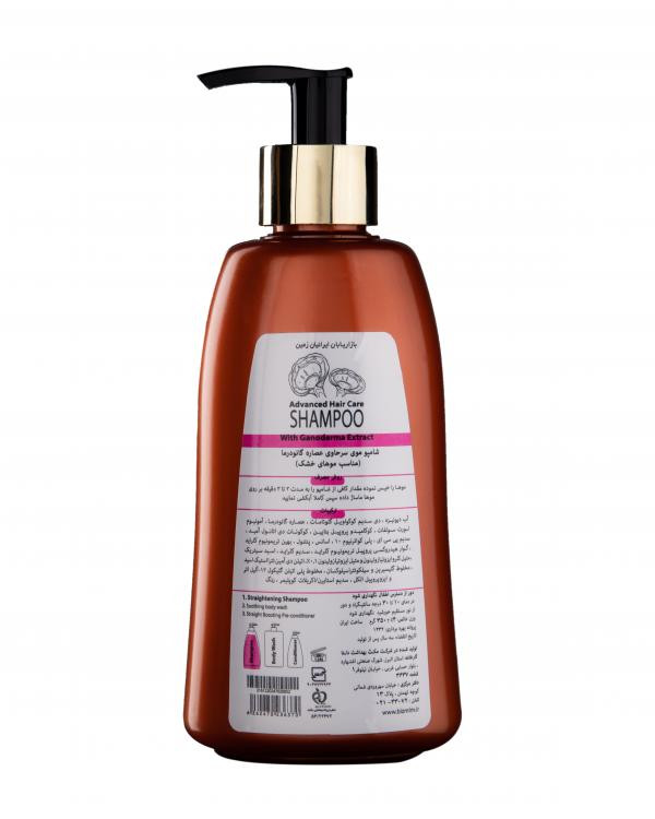 شامپو حاوی عصاره گانودرما BIZ مخصوص موهای خشک